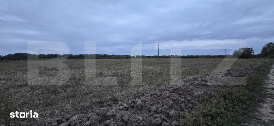 Teren extravilan, 17.545 mp, zona Est - 2