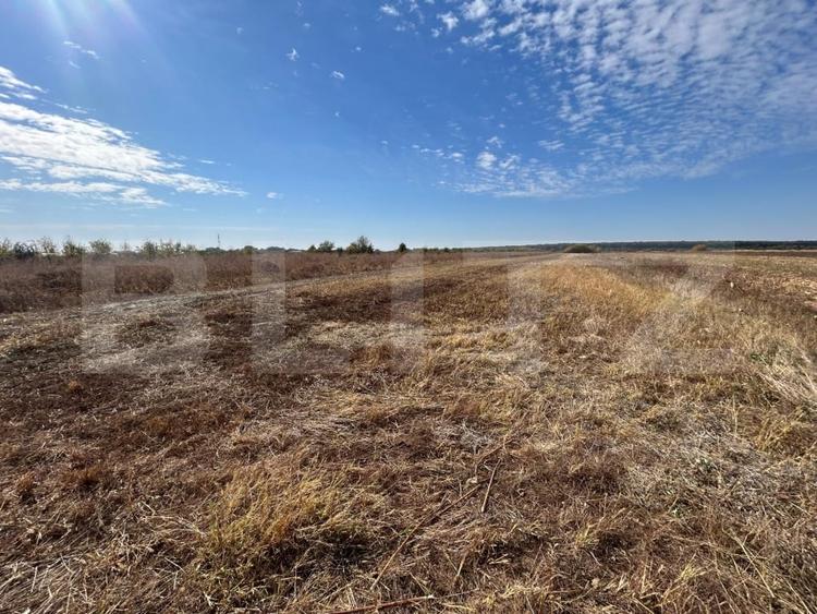 Teren agricol extravilan de 3600 mp, în Exterior Est