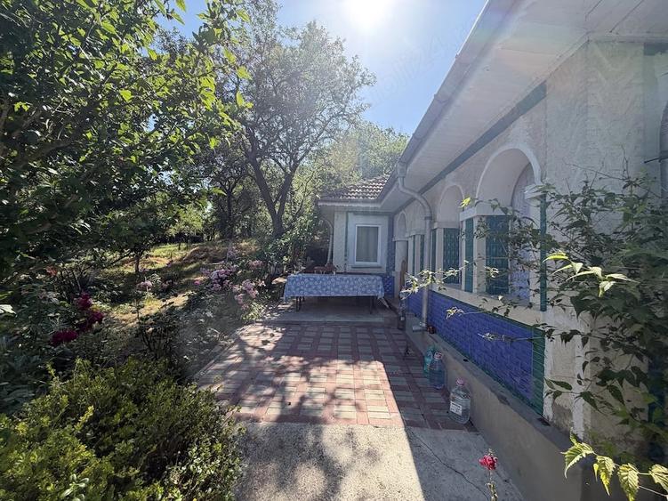 Casa cu gradina frumoasa la tara - 7