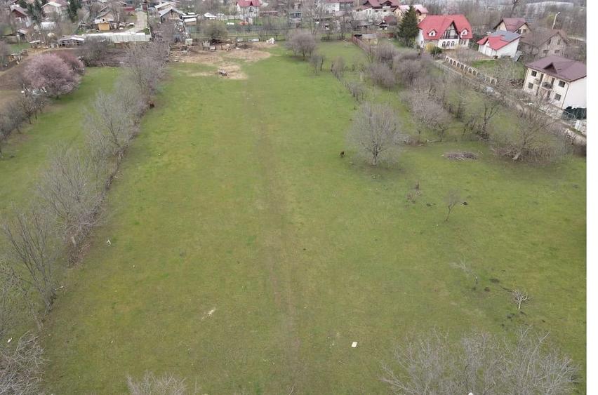 Teren de 10000 mp, în Voila