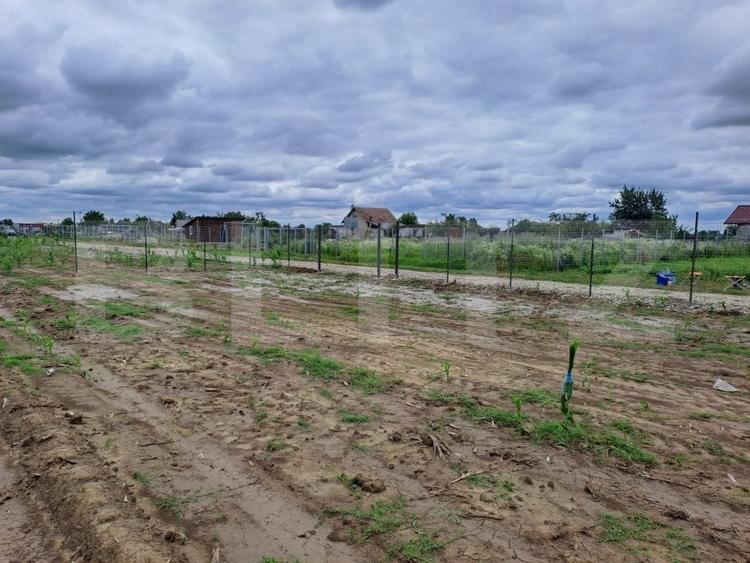 Teren Construcții extravilan de 800 mp, în Careiului