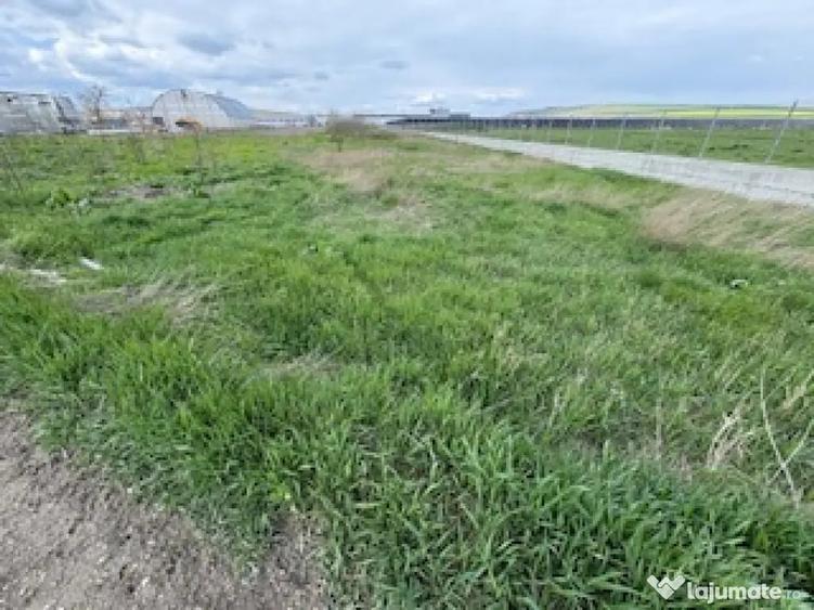 Teren de 5000 mp, în Lețcani