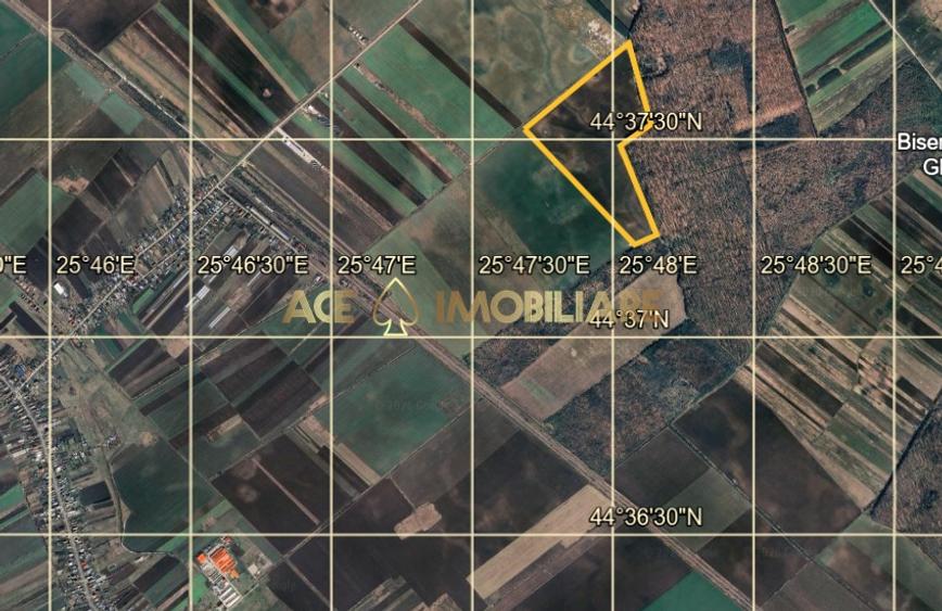 Teren agricol extravilan de 267526 mp, în Tărtășești