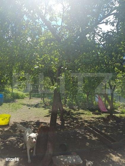 Casă cu 3 camere cu Teren 7300 Mp în Vulturești