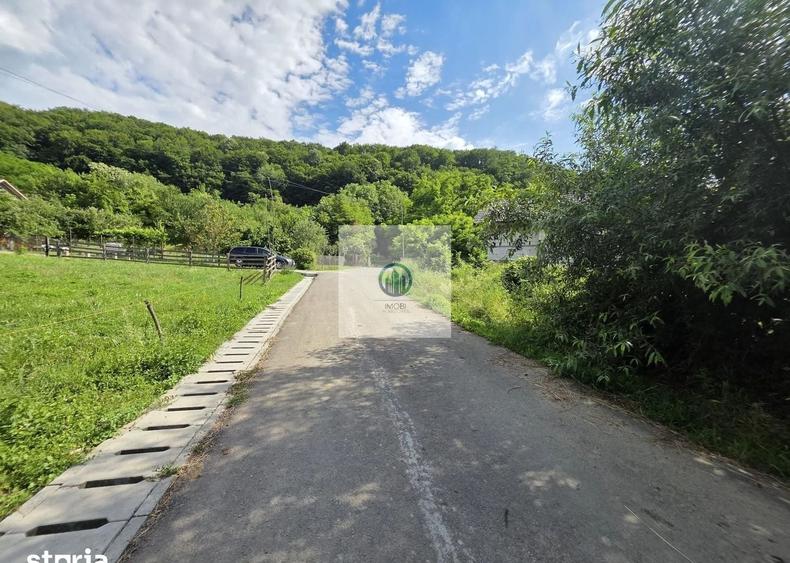 Teren agricol extravilan de 2340 mp, în Șoimuș