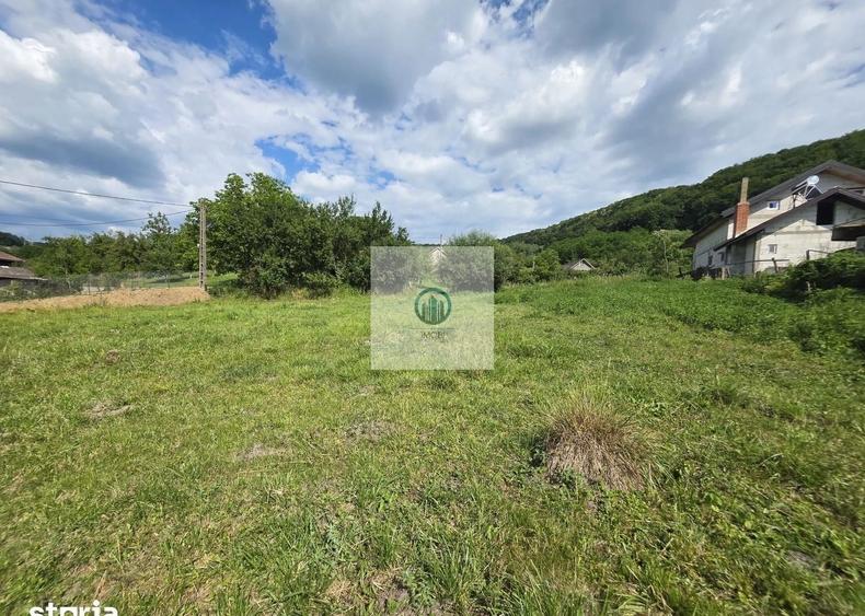 Teren agricol extravilan de 2340 mp, în Șoimuș