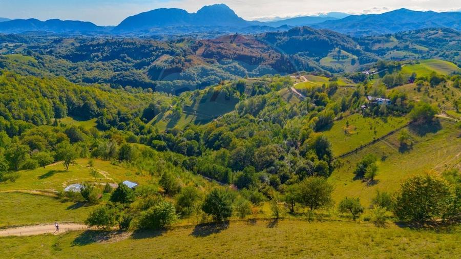 Teren agricol extravilan de 6014 mp, în Holbav