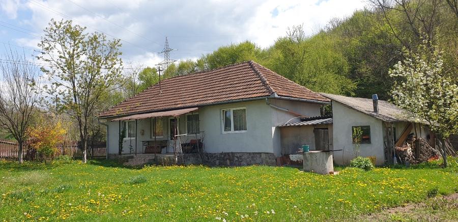 Casă individuală cu 3 camere cu Teren 1500 Mp în Central