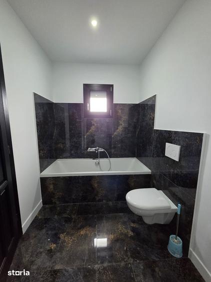 Casă cu 5 camere cu Teren 2867 Mp în Păunești