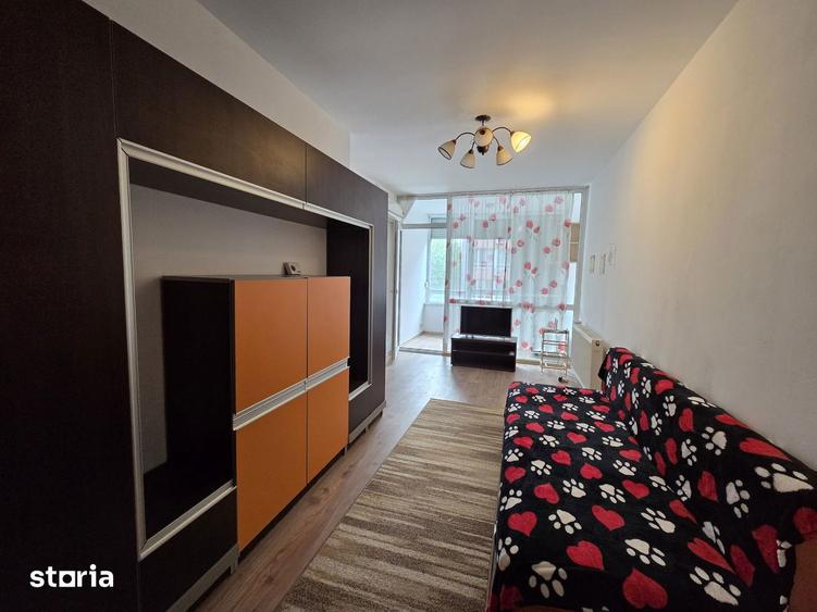 Inchiriez apartament 2 camere,etajul 2,Ared Uta - 7
