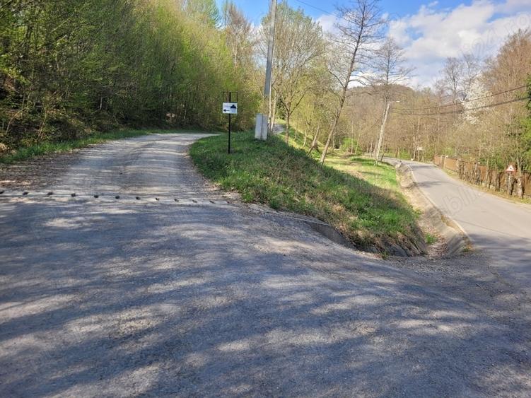 Teren de 4000 mp, în Satu Mare
