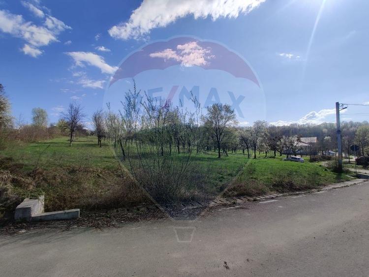 Teren Construcții intravilan de 2671 mp, în Cărbunari