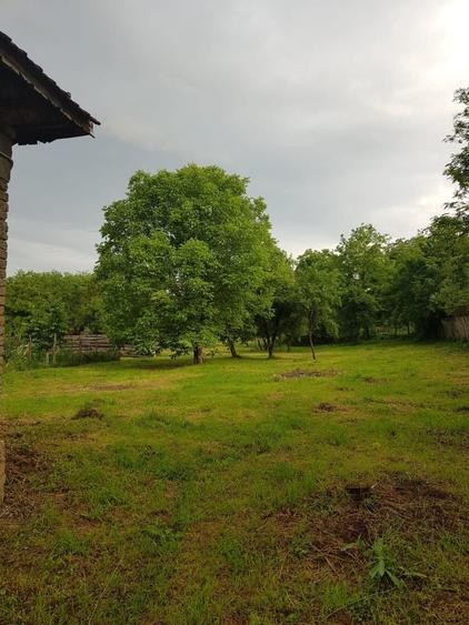Casă cu 3 camere în Exterior Vest