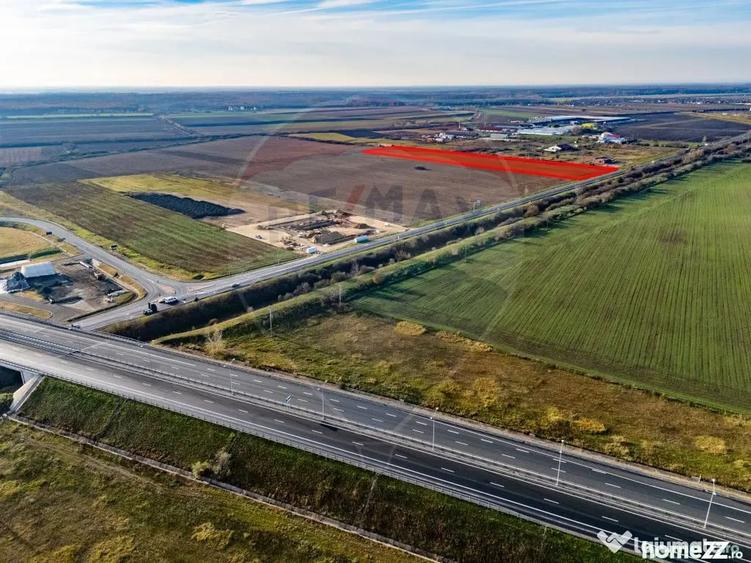 Teren 29220 mp Pecica,DN7, langa autostrada- Ideal pentru afaceri - Pecica (Arad) - 3