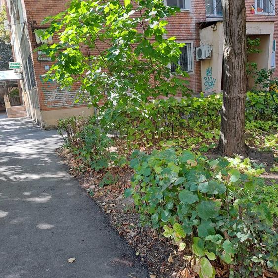 Apartament cu 2 camere decomandat în Gheorghe Lazăr