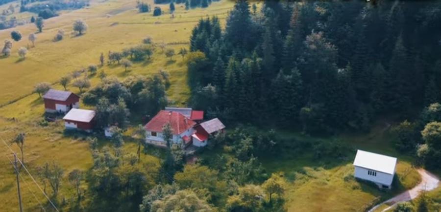 Casă cu 3 camere în Vidra