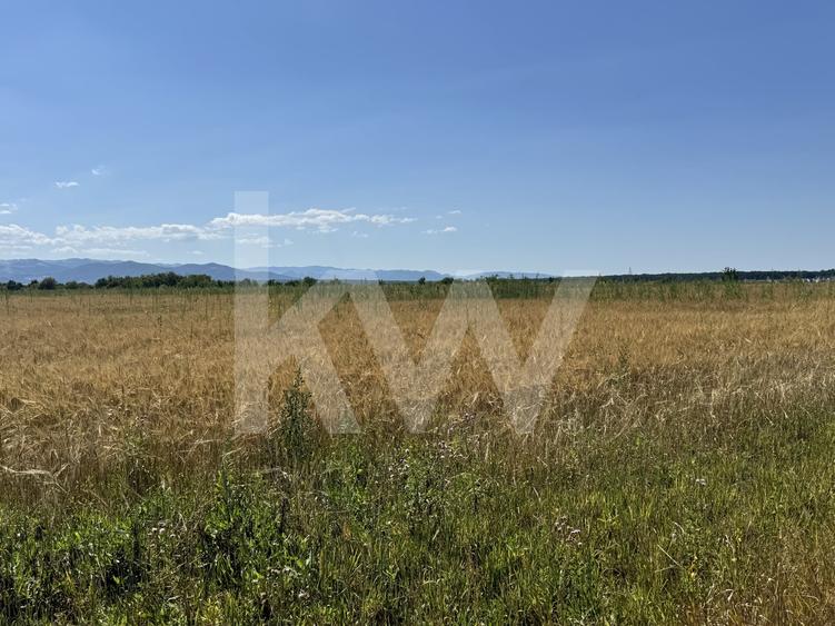 Teren agricol extravilan de 720 mp, în Cisnădie