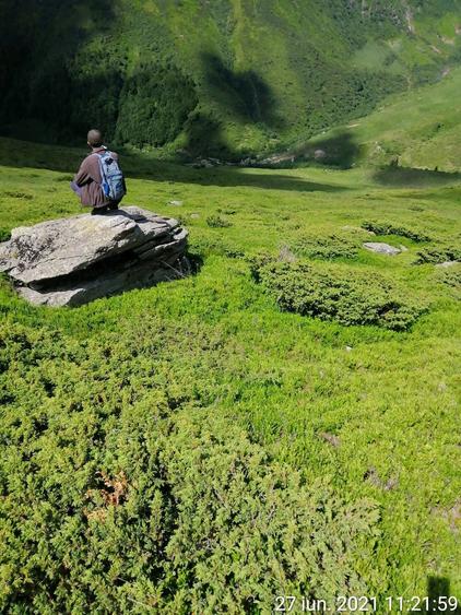 Teren de 185000 mp, în Padeș