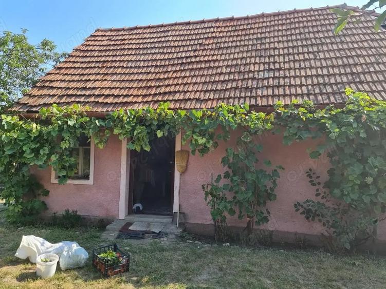 Casă cu 2 camere cu Teren 334 Mp în Vinerea