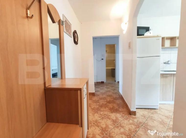Apartament cu 2 camere decomandat în Carpați 2