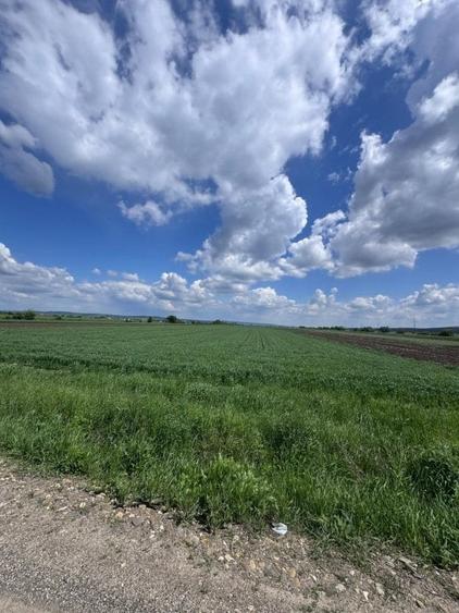 Teren agricol extravilan de 10000 mp, în Exterior Nord