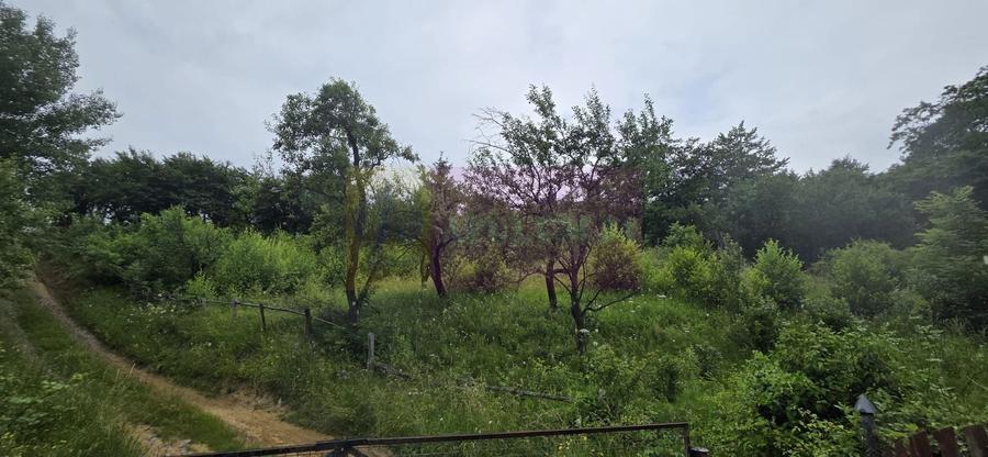 Teren Construcții intravilan de 4000 mp, în Exterior Est