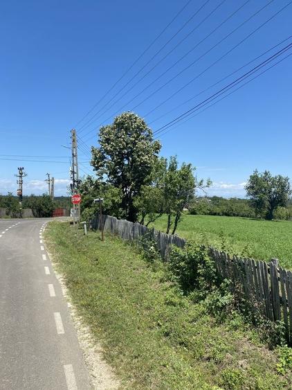 Proprietar, Vand teren intravilan 16600 mp, parcelabil, Comuna Cocu, Arges - 4