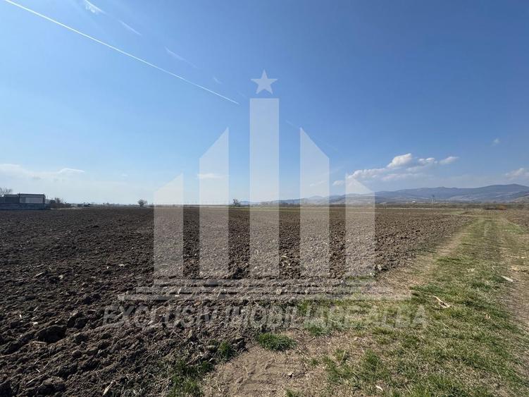 Teren intravilan | 1600 mp | 16 ml deschidere | Oarda de Jos - 2