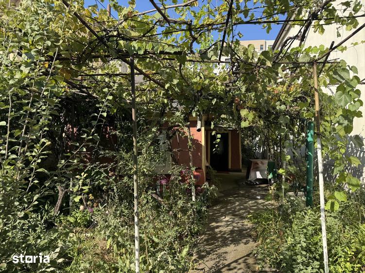 Casa si teren intravilan 512 mp | Bd. Uverturii zona Cernisoara - 4