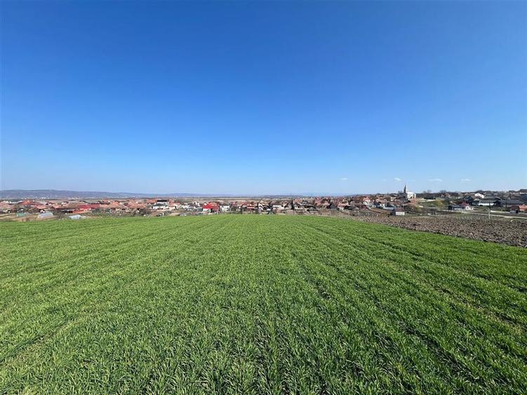 Teren extravilan de 5375 mp, în Cheriu