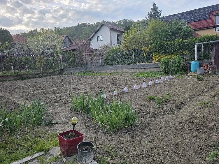 Casă cu 2 camere cu Teren 609 Mp în Central