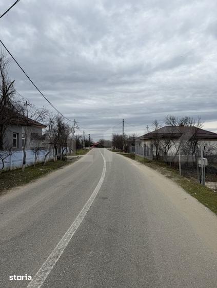 Casa pe parter, 115 mpc, 4505 mp teren, zona Bogea-Almaj - 16