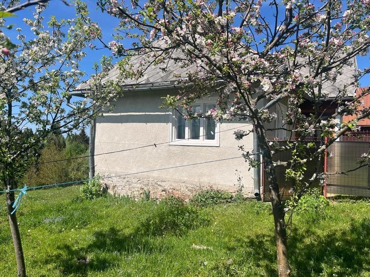 Casă cu 2 camere în Dealu Negru