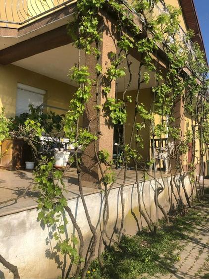 Casă cu 1 camere cu Teren 3000 Mp în Cicir