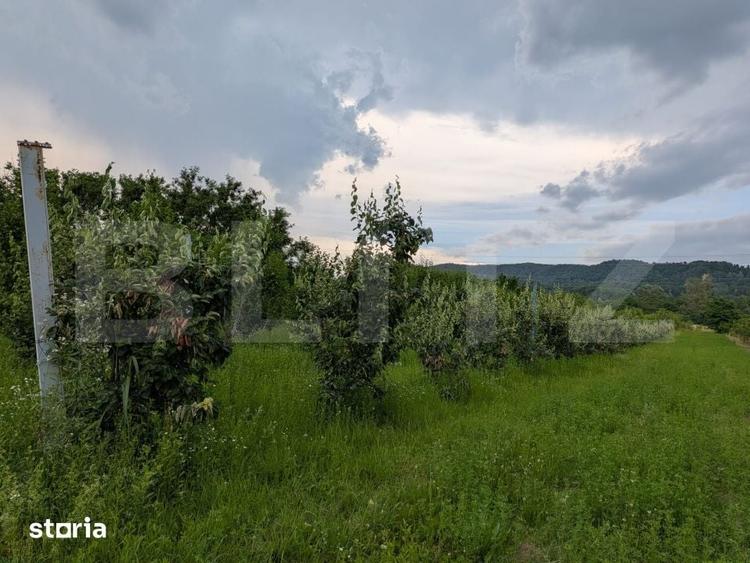 Teren de 4500 mp, în Voinești