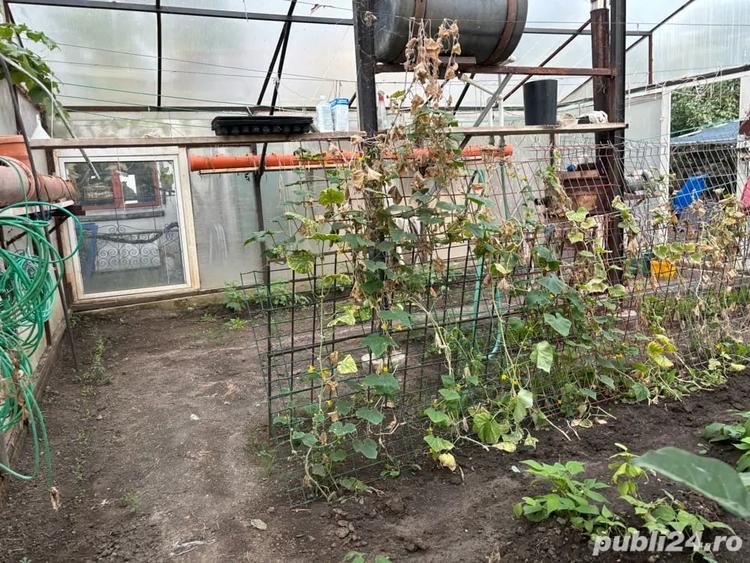Casă cu 6 camere cu Teren 10000 Mp în Mehala