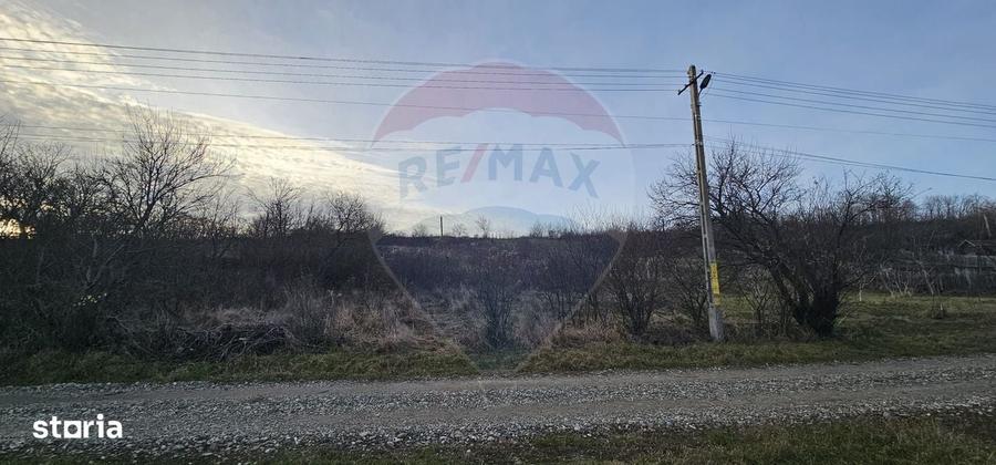 Spațiu comercial, în Central