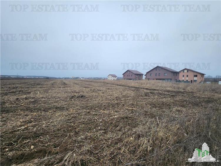 Teren agricol intravilan de 15805 mp, în Corbeanca