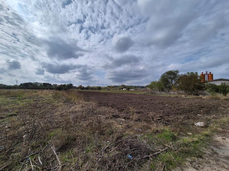 Teren Construcții extravilan de 5000 mp, în Jilava
