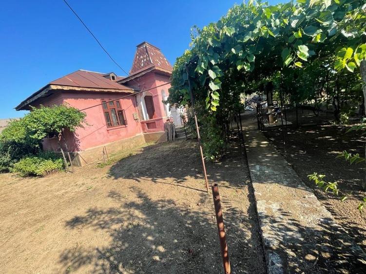 Casă cu 3 camere în Radovan