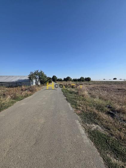 Teren Construcții intravilan de 10000 mp, în Câmpurelu