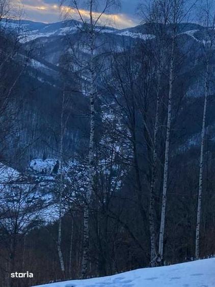 Vand teren Muntele Rece panorama spre Valea Ierii - 6