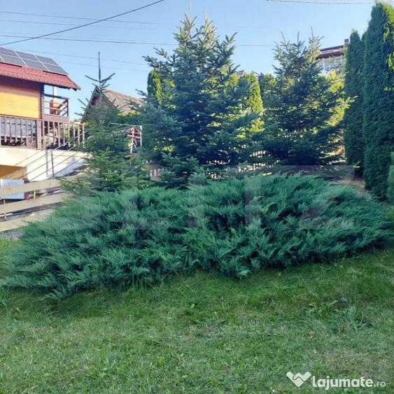 Casă cu 3 camere cu Teren 476 Mp în Central