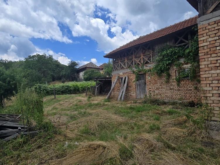 Casă cu 4 camere în Urluiești