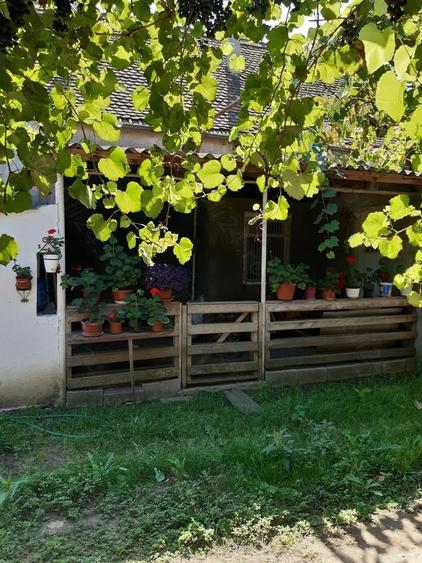 Casă cu 4 camere cu Teren 1235 Mp în Voila