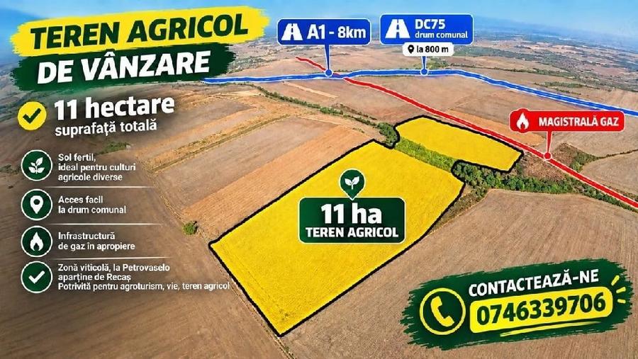 Teren de 110000 mp, în Petrovaselo