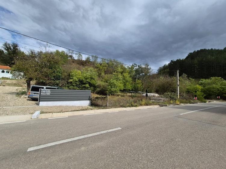 Casă cu 4 camere cu Teren 8000 Mp în Pruni