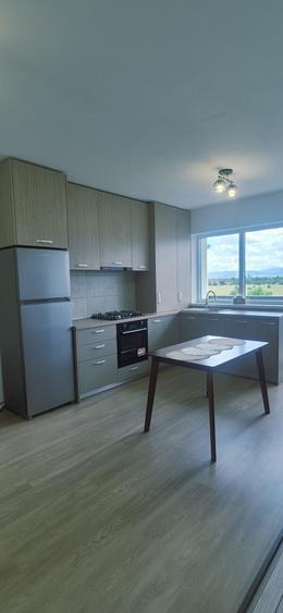 Studio/Apartament de inchiriat Subcetate Sanpetru Brasov - 1