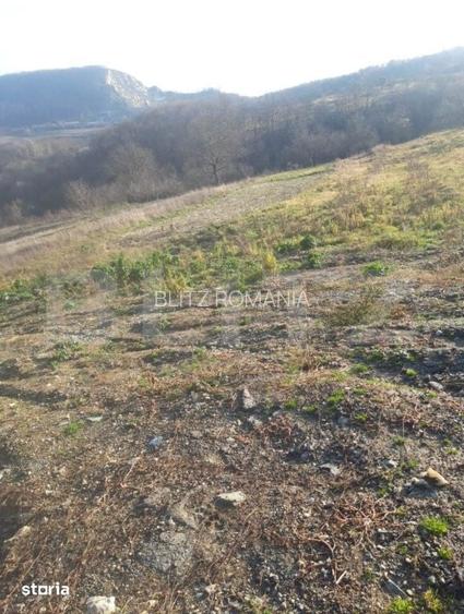 Teren intravilan de vanzare, cu proiect pentru casa