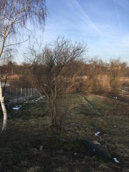 Teren Construcții intravilan de 3050 mp, în Moara Vlăsiei